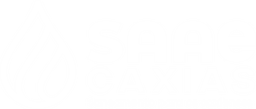 SAAE Caxias - Sistema Autônomo de Água e Esgoto